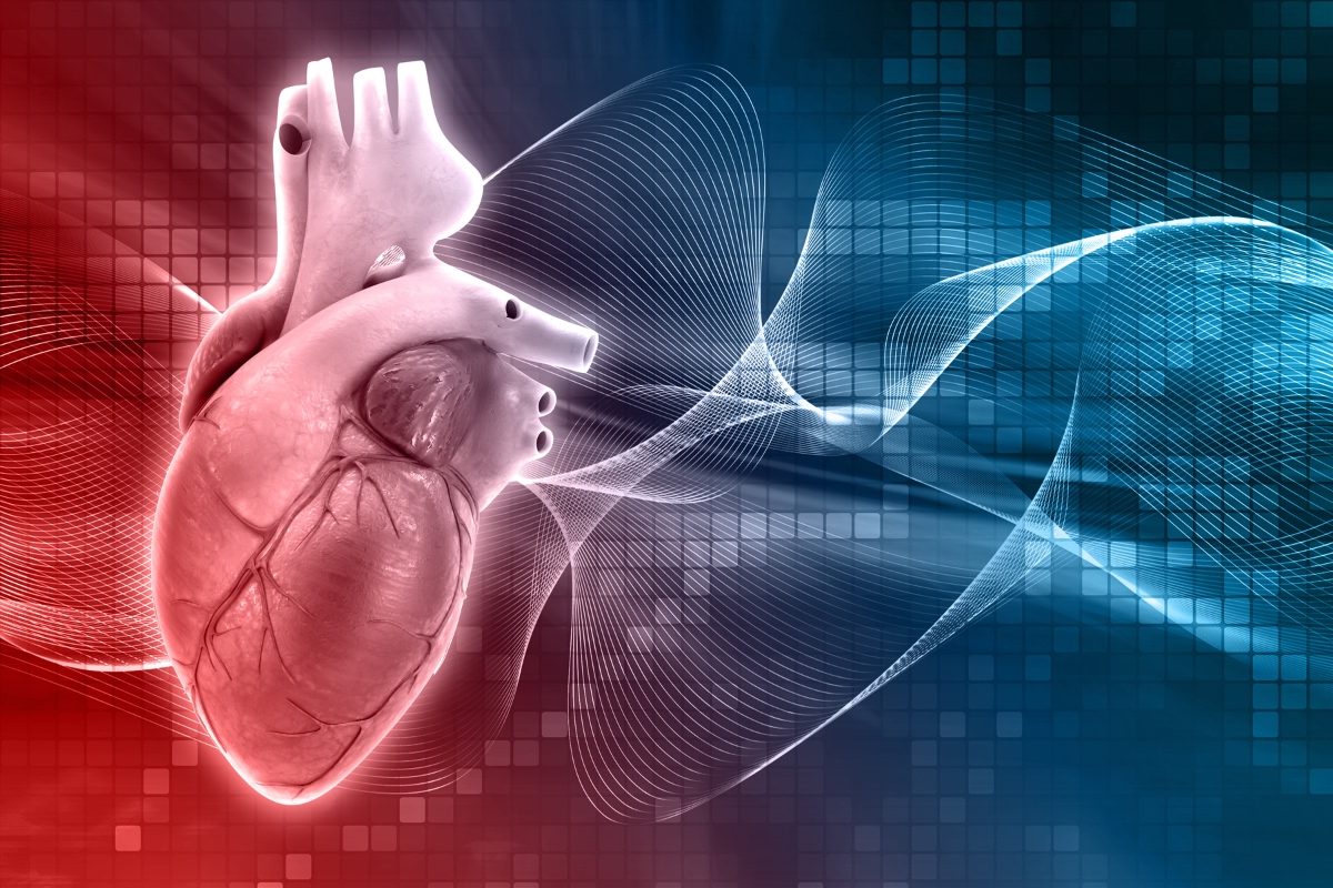 Cardiology Cardiology services
